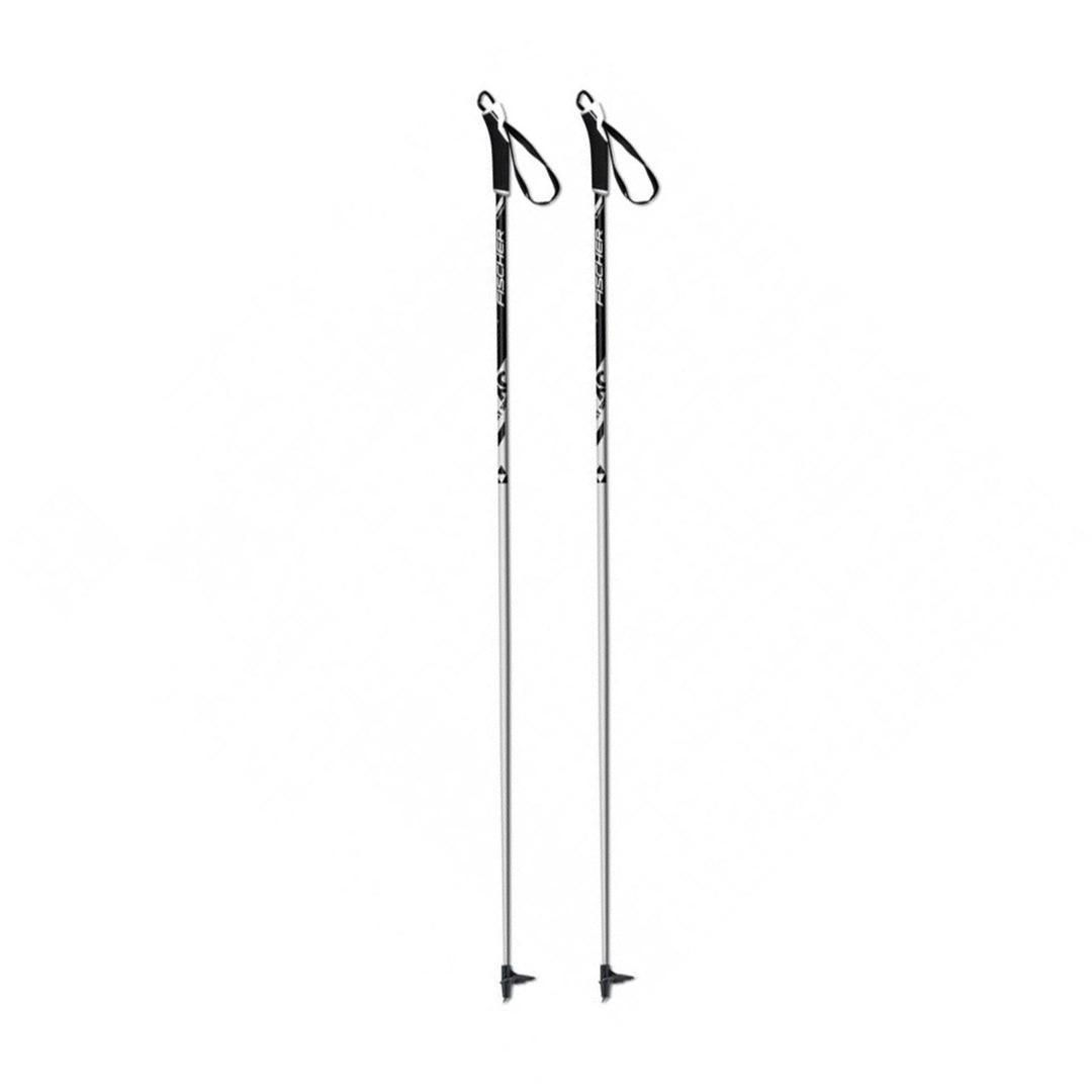 Ski Poles – Alpineeast